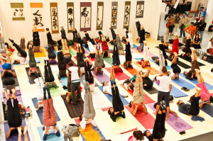 Yoga Festival
