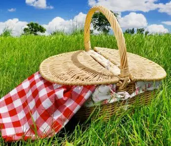 Cestino-del-picnic