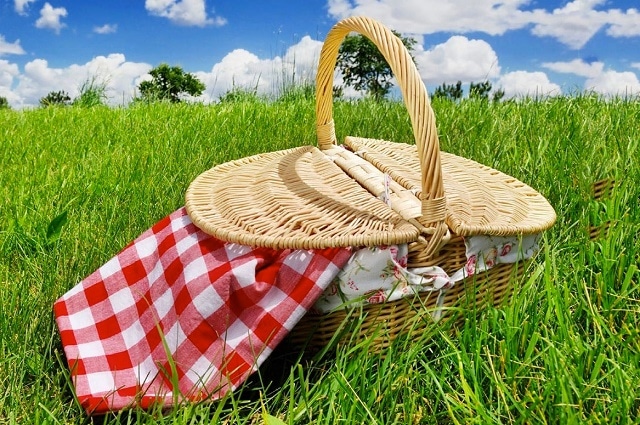 Cestino-del-picnic