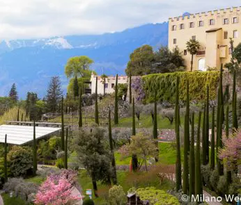 Merano giardini Castello cipressi