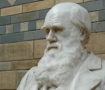 darwin-day