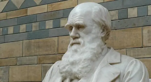 darwin-day