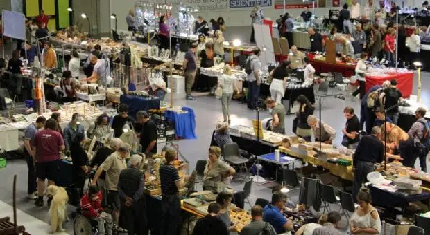 mostra mercato minerali monza