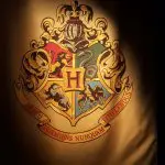 harry potter anteprima mostra (15)