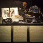 harry potter anteprima mostra (25)