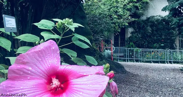 orto botanico di brera