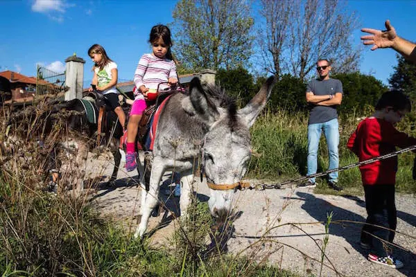 festival-biodiversità