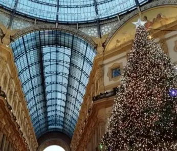 albero di natale milano