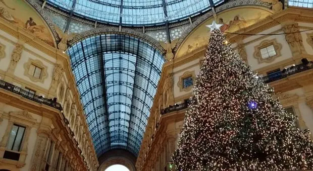 albero di natale milano