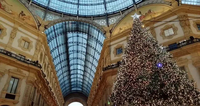 albero di natale milano