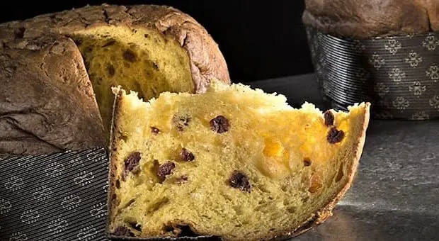 happy natale happy panettone