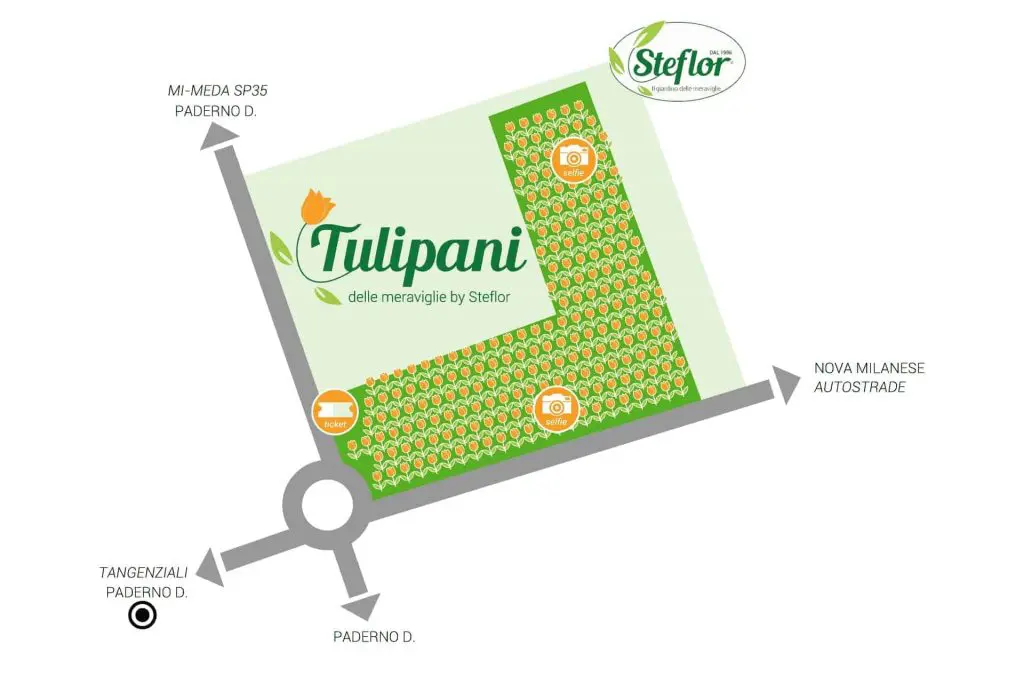 tulipani delle meraviglie mappa