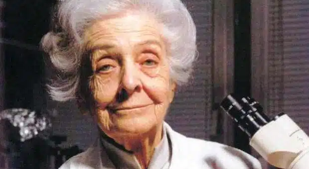 montalcini